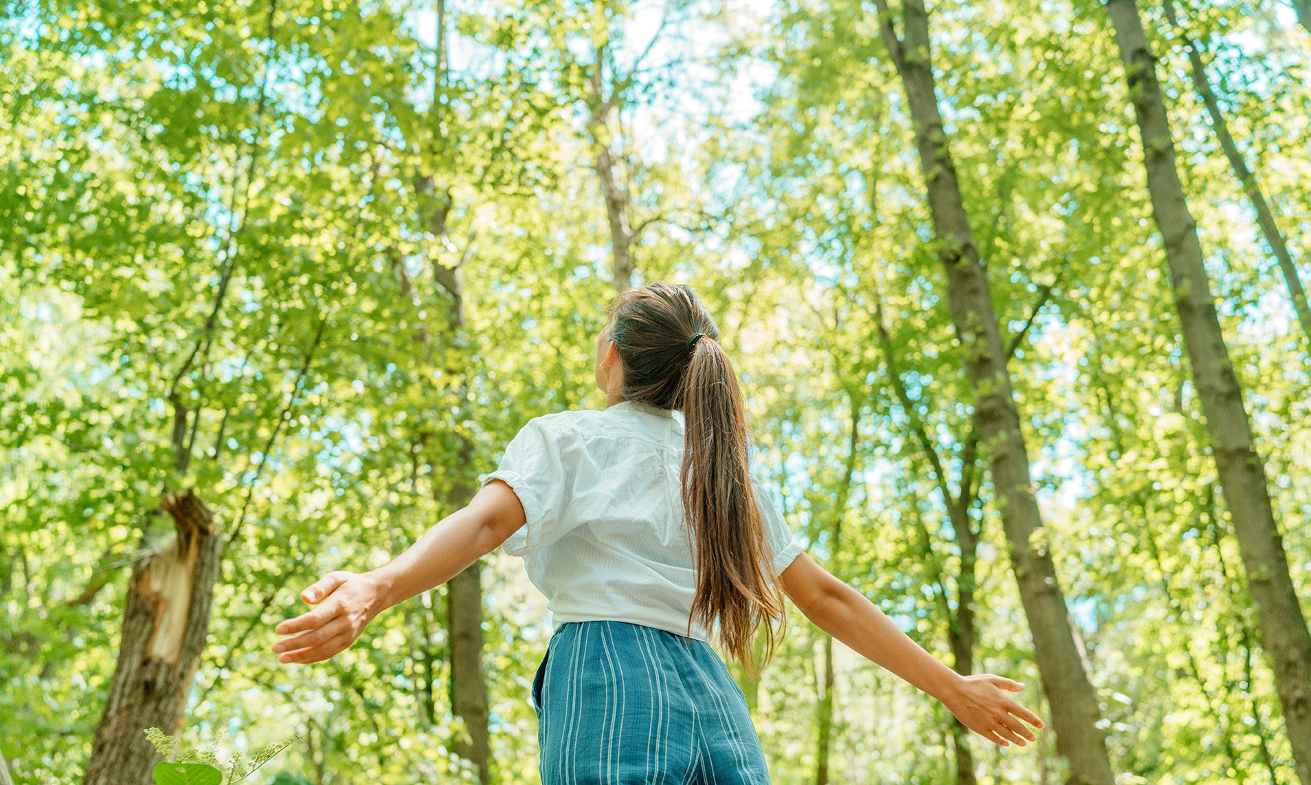 Health benefits of forest bathing for kids - Currents