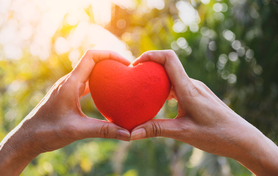 CoQ10 Benefits for Heart Health Support