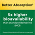 Better Absorption‡ Berberine Phytosome 550 mg Capsules | 