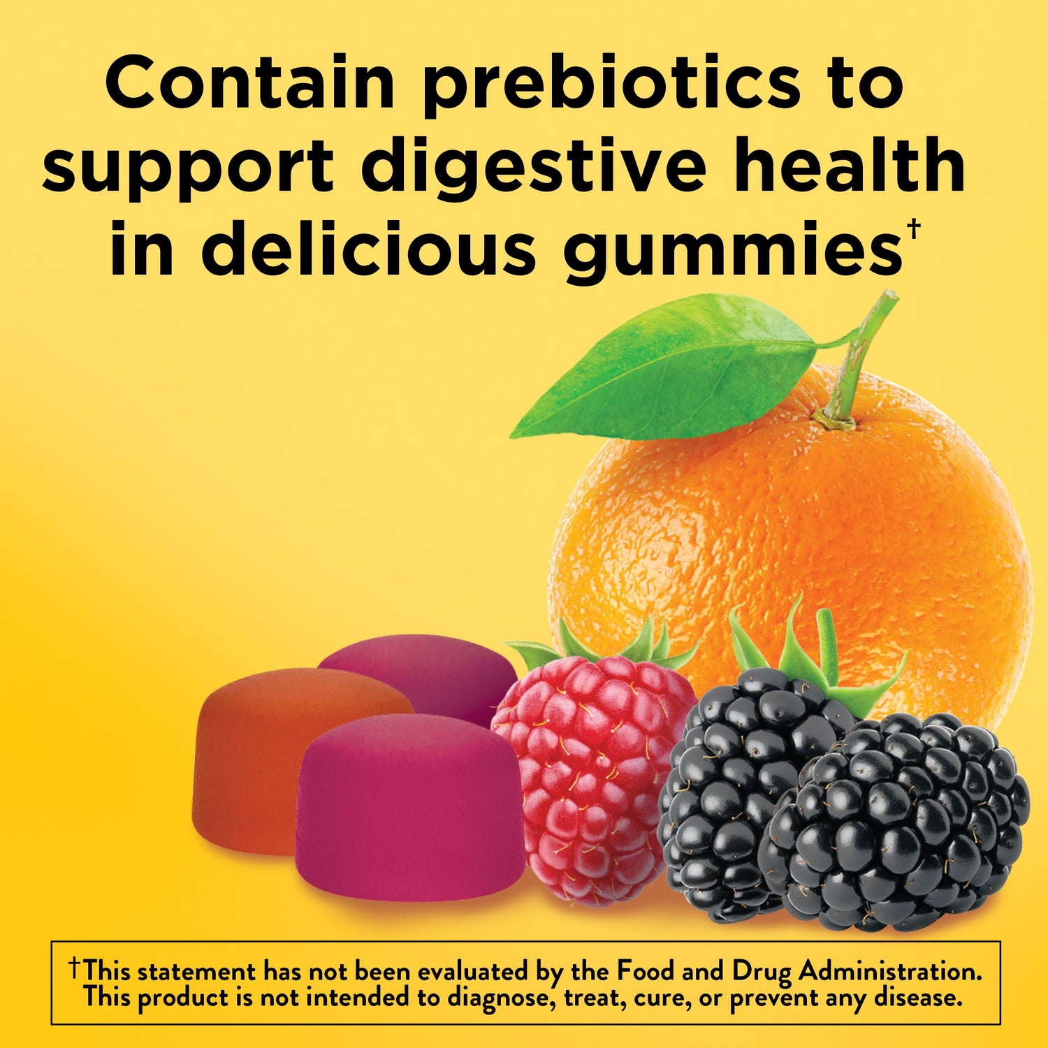 Fiber Choice Prebiotic Fiber Supplement, Bone Health, Sugar-Free, Assorted  Berry, Chewable Tablets 90 ea, Diarrhea Relief